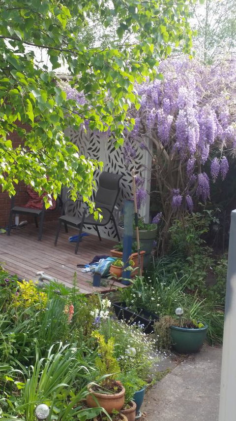 Birch Lane - Accommodation Yamba 44