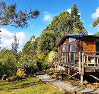 Southern Forest Accommodation - Accommodation Yamba