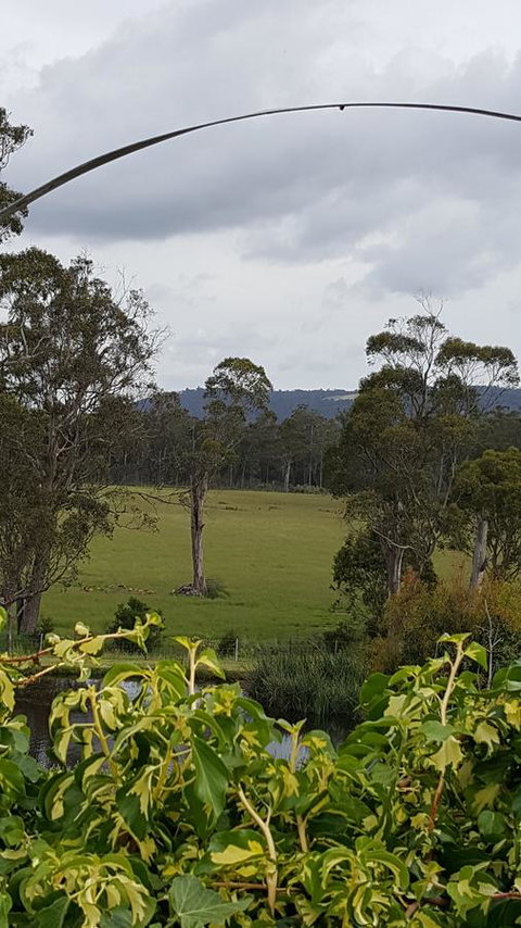 Hazelcreek Cottages - Accommodation Yamba 34