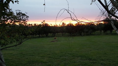 Hazelcreek Cottages - Accommodation Yamba 33