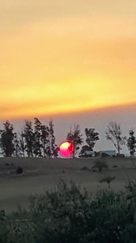 Hazelcreek Cottages - Accommodation Yamba 31