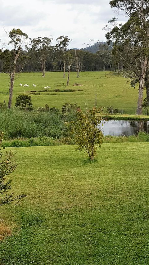 Hazelcreek Cottages - Accommodation Yamba 7