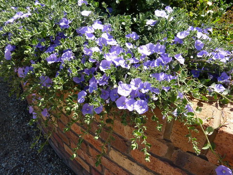 Hazelcreek Cottages - Accommodation Yamba 27