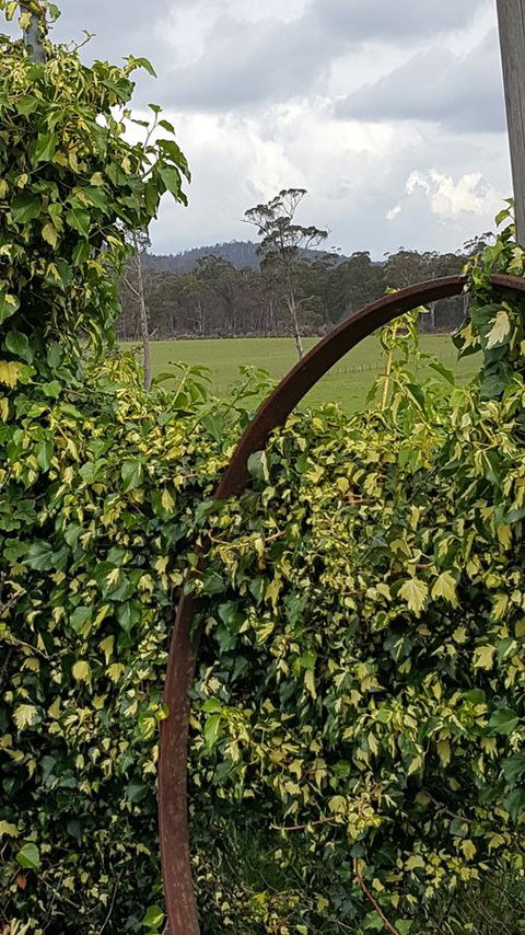 Hazelcreek Cottages - Accommodation Yamba 36