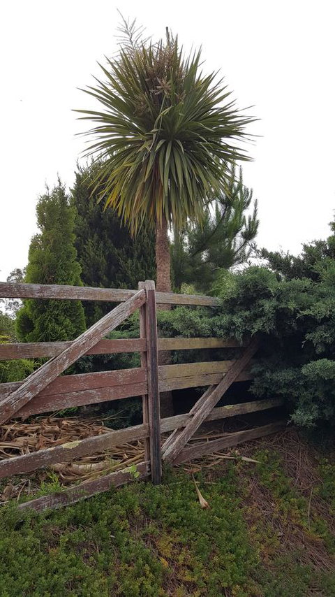 Hazelcreek Cottages - Accommodation Yamba 38