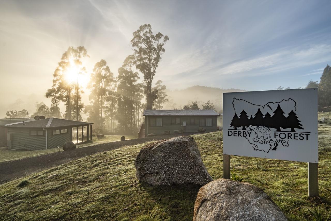 Weldborough TAS Accommodation Yamba