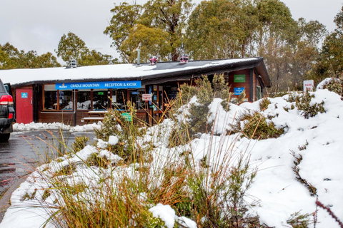 Discovery Parks - Cradle Mountain - Accommodation Yamba 29