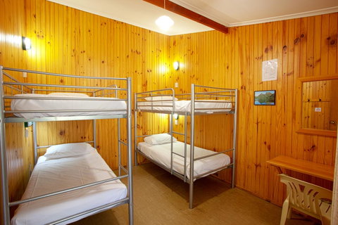Discovery Parks - Cradle Mountain - Accommodation Yamba 31