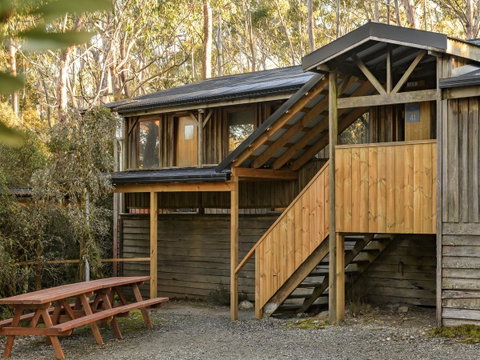 Discovery Parks - Cradle Mountain - Accommodation Yamba 10