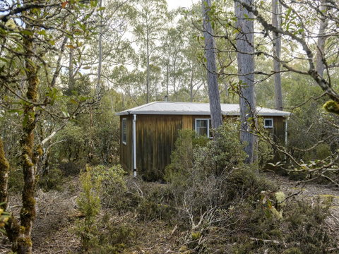 Discovery Parks - Cradle Mountain - Accommodation Yamba 18
