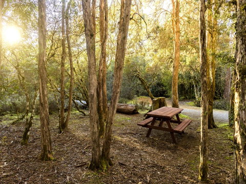 Discovery Parks - Cradle Mountain - Accommodation Yamba 19