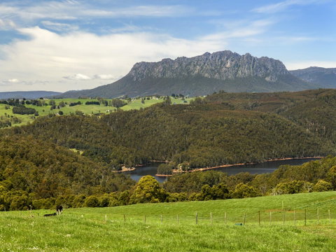 Discovery Parks - Cradle Mountain - Accommodation Yamba 23