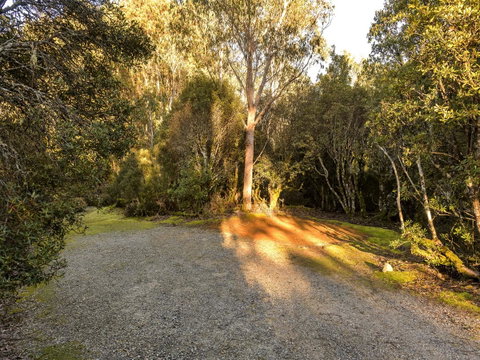 Discovery Parks - Cradle Mountain - Accommodation Yamba 2