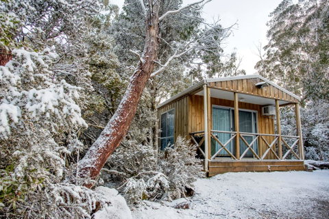 Discovery Parks - Cradle Mountain - Accommodation Yamba 28