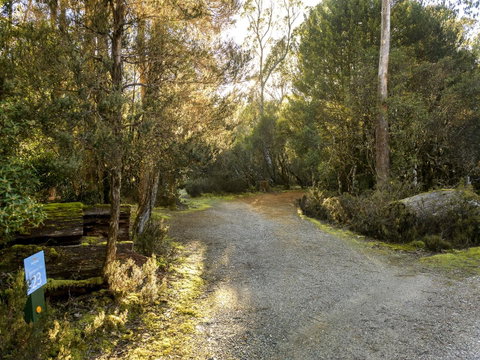 Discovery Parks - Cradle Mountain - Accommodation Yamba 1