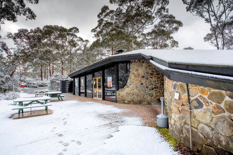 Discovery Parks - Cradle Mountain - Accommodation Yamba 0