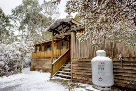 Discovery Parks - Cradle Mountain - Accommodation Yamba 27