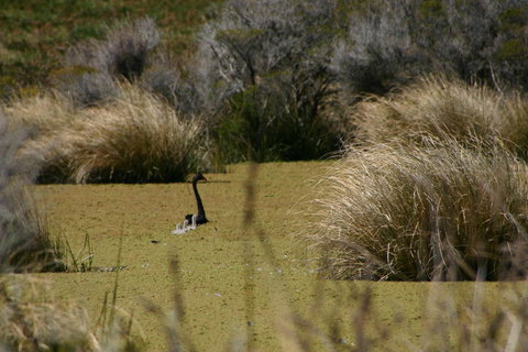 Cloudy Bay Beach House - Accommodation Yamba 15