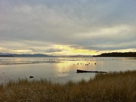 Cloudy Bay Beach House - Accommodation Yamba 11