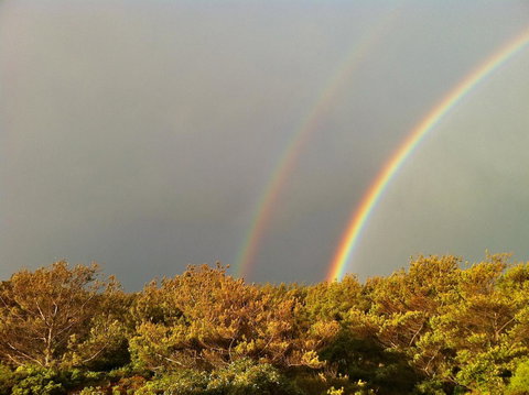 Cloudy Bay Beach House - Accommodation Yamba 44