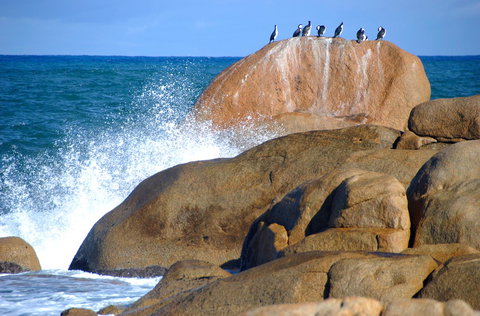 Cloudy Bay Beach House - Accommodation Yamba 29
