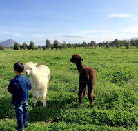 Taras Richmond Farmstay - Accommodation Yamba