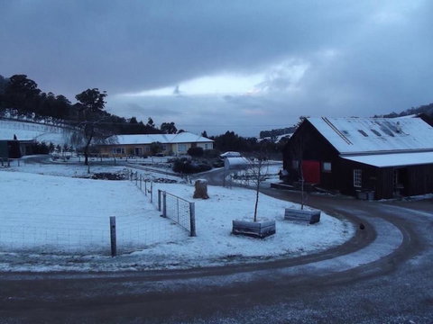 Eden Orchard & Farmstay - Accommodation Yamba 23