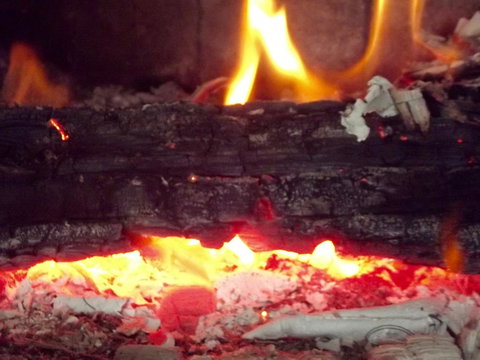 Eden Orchard & Farmstay - Accommodation Yamba 3