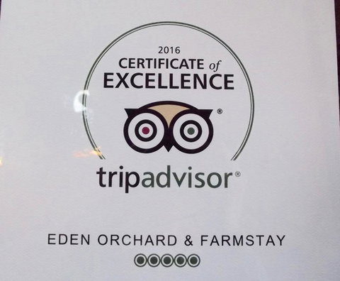Eden Orchard & Farmstay - Accommodation Yamba 28