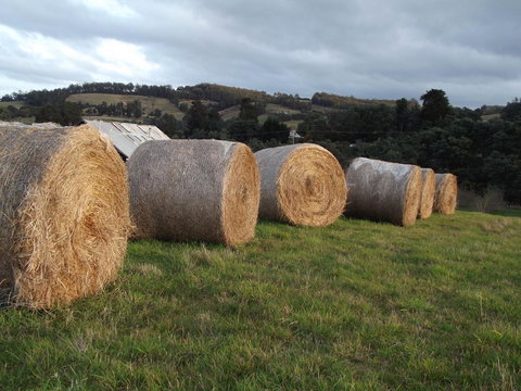 Eden Orchard & Farmstay - Accommodation Yamba 35