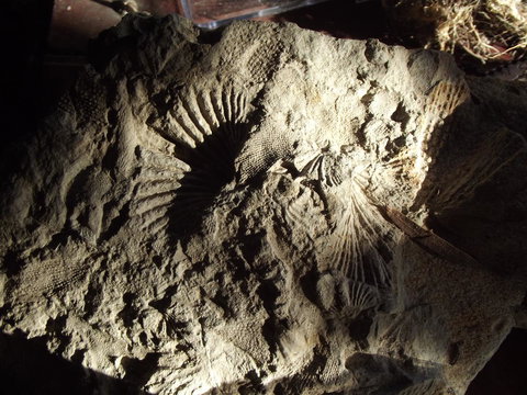 Eden Orchard & Farmstay - Accommodation Yamba 34