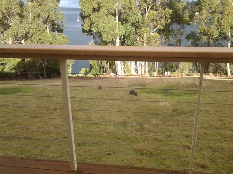 Marinavisage - Accommodation Yamba 20