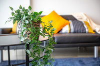 Brand New One/Two - Bed Room Apartment  Maribyrnong