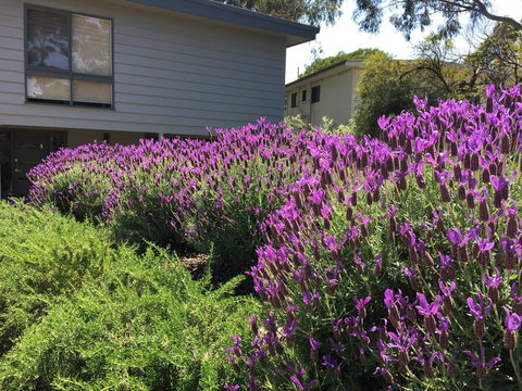 Kookas Retreat - Accommodation Yamba 14