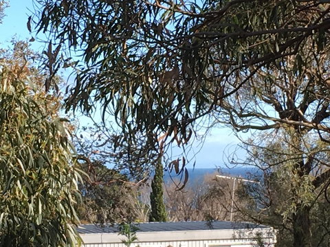 Kookas Retreat - Accommodation Yamba 17