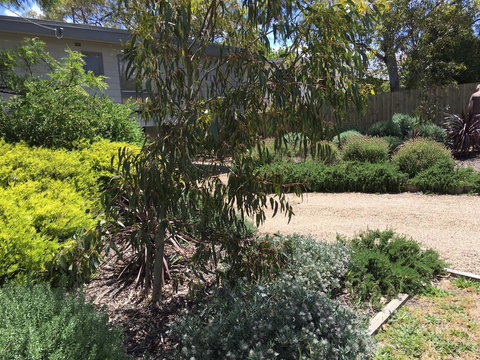 Kookas Retreat - Accommodation Yamba 13