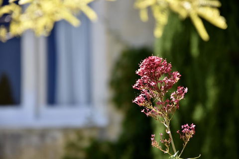 Villa Mallorca - Accommodation Yamba 28