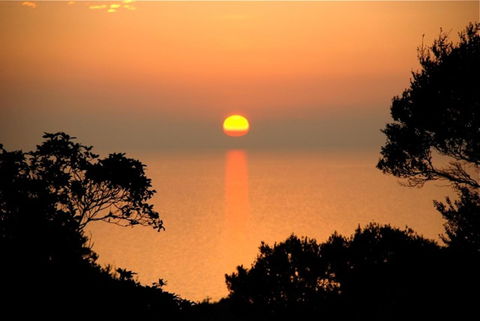 Villa Mallorca - Accommodation Yamba 41