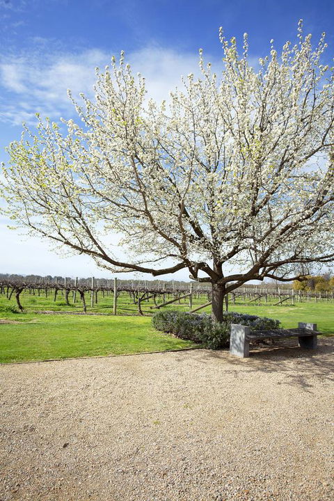 Lancemore Milawa - Accommodation Yamba 12