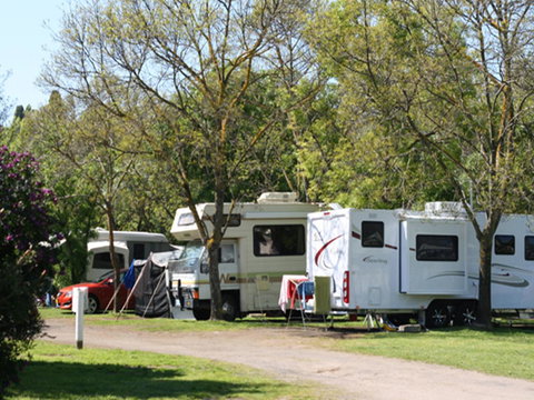 Tasman Holiday Parks - Geelong - Accommodation Yamba 21