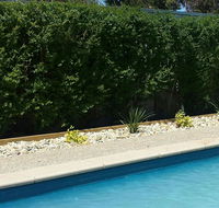 Robinvale Bridge Motel - Accommodation Yamba