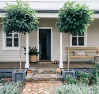 Acre of Roses - Accommodation Yamba