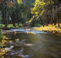 Goldfield Holiday Units - Accommodation Yamba