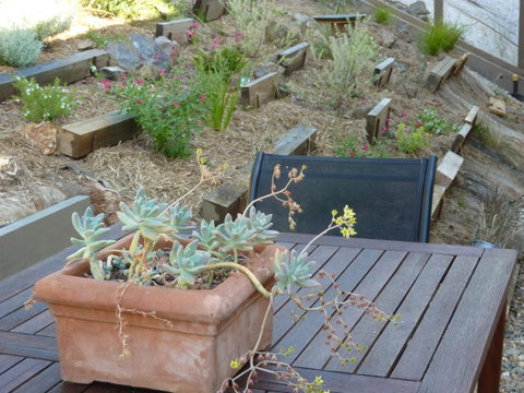 Saje\'s House & Pod - Accommodation Yamba 12