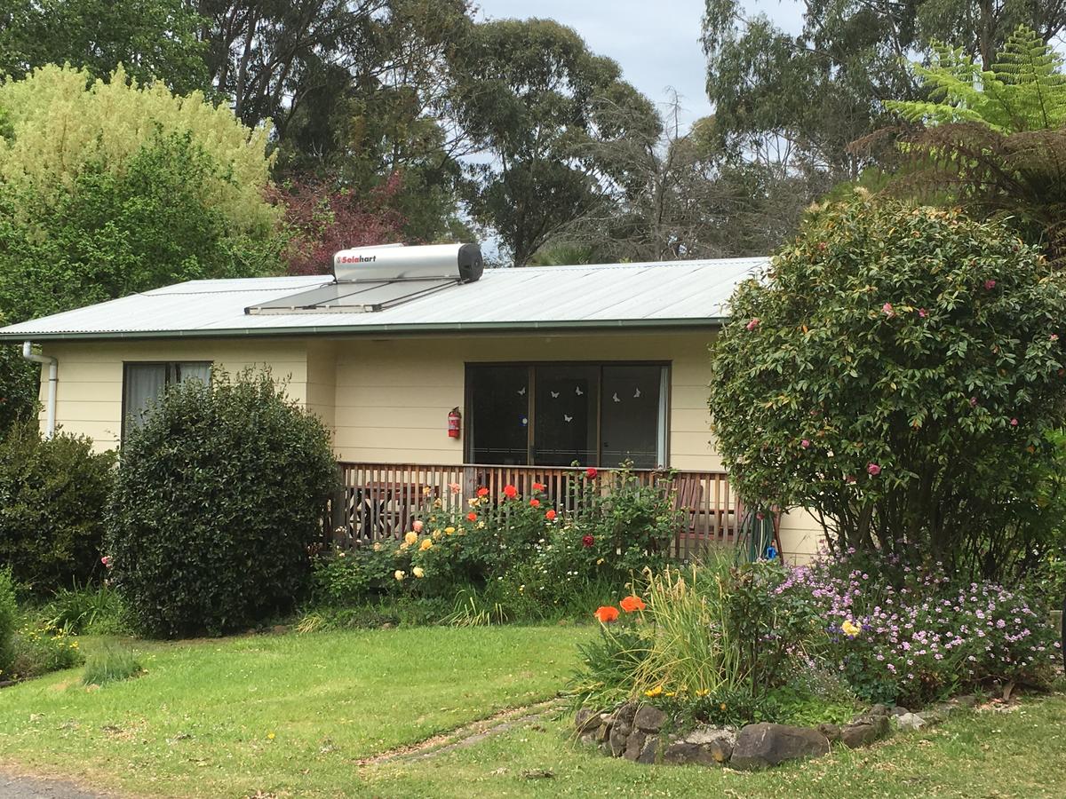 Allambee Reserve VIC Accommodation Yamba