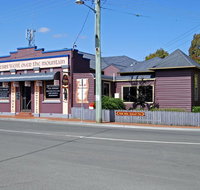 The Bears Went Over The Mountain - Accommodation Yamba