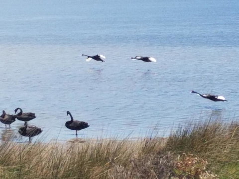 The DOLPHIN PLACE - Accommodation Yamba 0