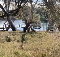 The Lake House - Accommodation Yamba