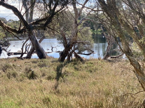 The Lake House - Accommodation Yamba 0