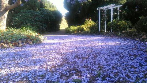 The Old Church Bed And Breakfast - Accommodation Yamba 2